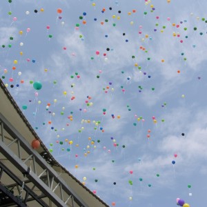 SAMSUNG DIGITAL CAMERA