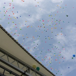 SAMSUNG DIGITAL CAMERA