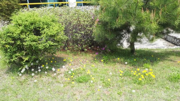 KakaoTalk_20191002_113241807